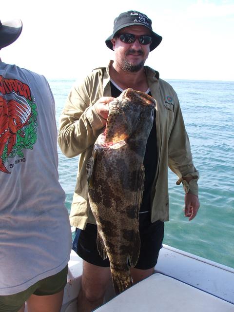 Nice Cod